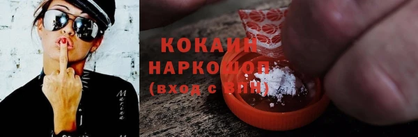 амф Тайга