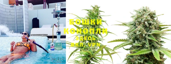 ПСИЛОЦИБИНОВЫЕ ГРИБЫ Сясьстрой