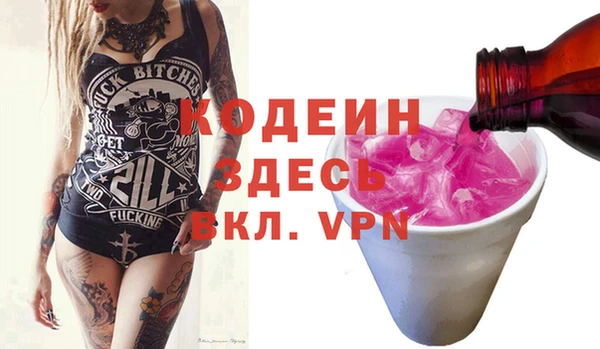 амф Тайга