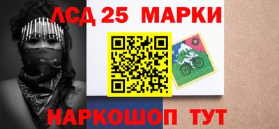 гашик Аргун