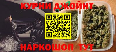 сатива Апшеронск
