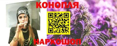 сатива Апшеронск