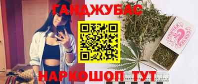 гашик Аргун