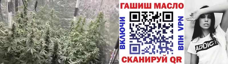 кракен ТОР  Апрелевка  ТГК жижа  дарнет шоп 